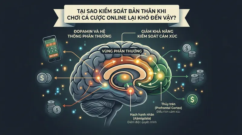 Tại Sao Kiểm Soát Bản Thân Khi Chơi Cá Cược Online Lại Khó Đến Vậy?