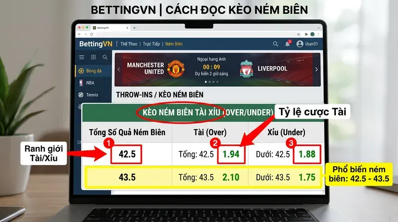 Cách Đọc Tỷ Lệ Kèo Ném Biên Trên Nhà Cái Việt Nam