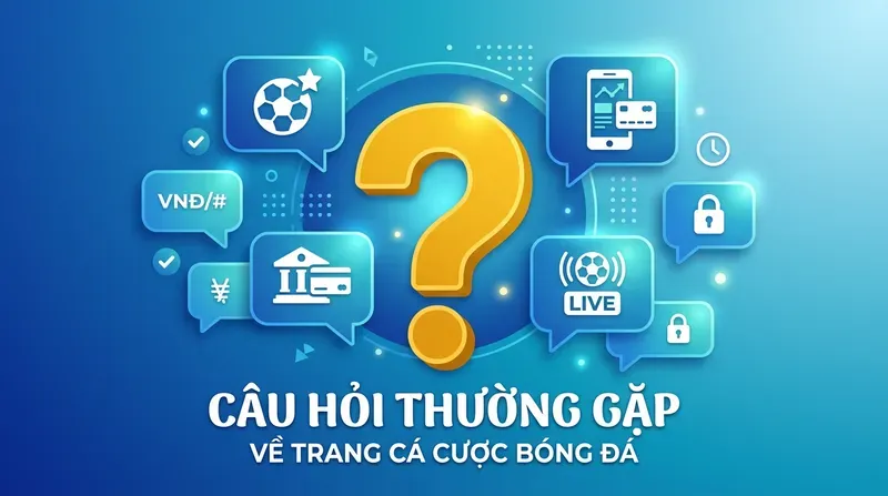 10+ Trang Cá Cược Bóng Đá Uy Tín Nhất Tại Việt Nam 12 Câu Hỏi Thường Gặp Về Trang Cá Cược Bóng Đá