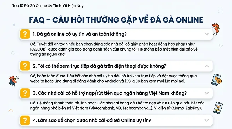FAQ – Câu Hỏi Thường Gặp Về Đá Gà Online
