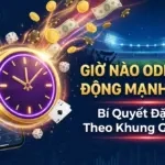 thumbnail gio nao odds bien dong manh nhat bi quyet dat keo